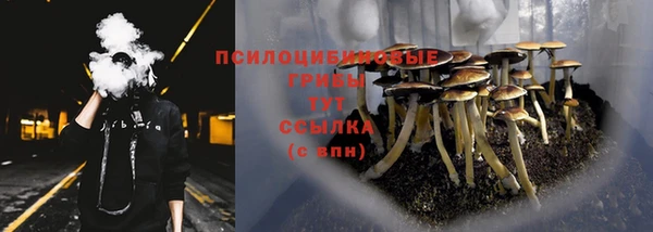 героин Пересвет