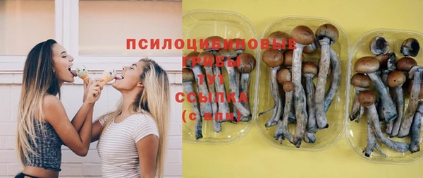 героин Пересвет