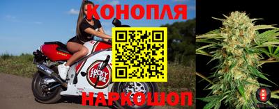 ПСИЛОЦИБИНОВЫЕ ГРИБЫ Беслан