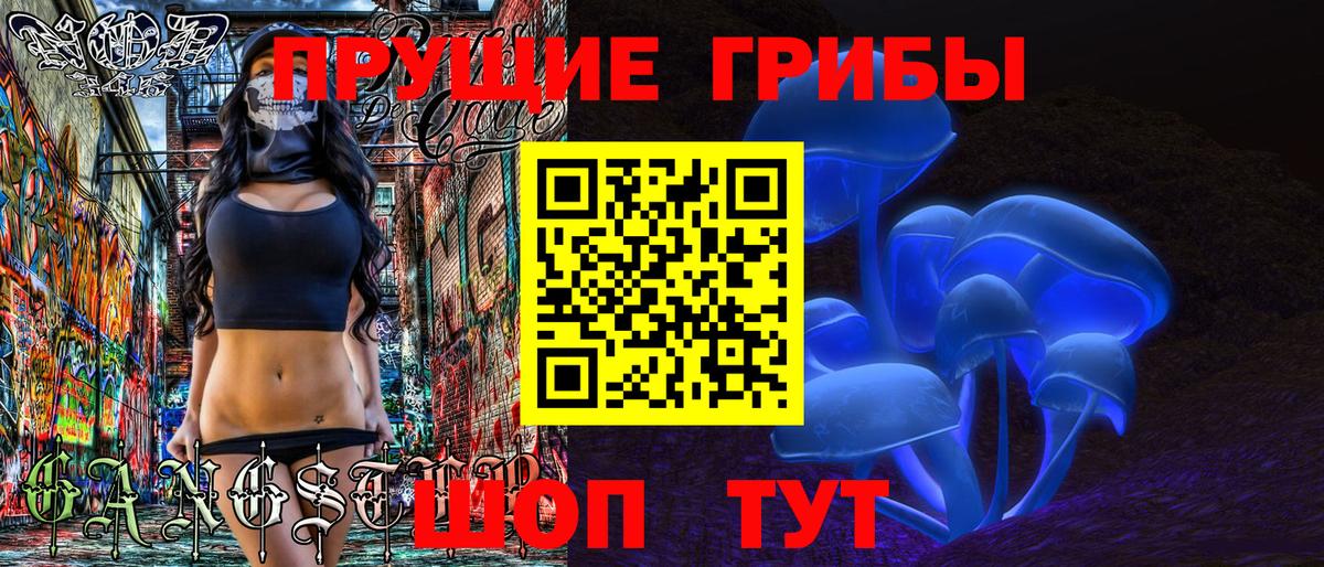 Псилоцибиновые грибы прущие грибы  Вход с VPN  Боровичи  Галлюциногенные грибы мухоморы 